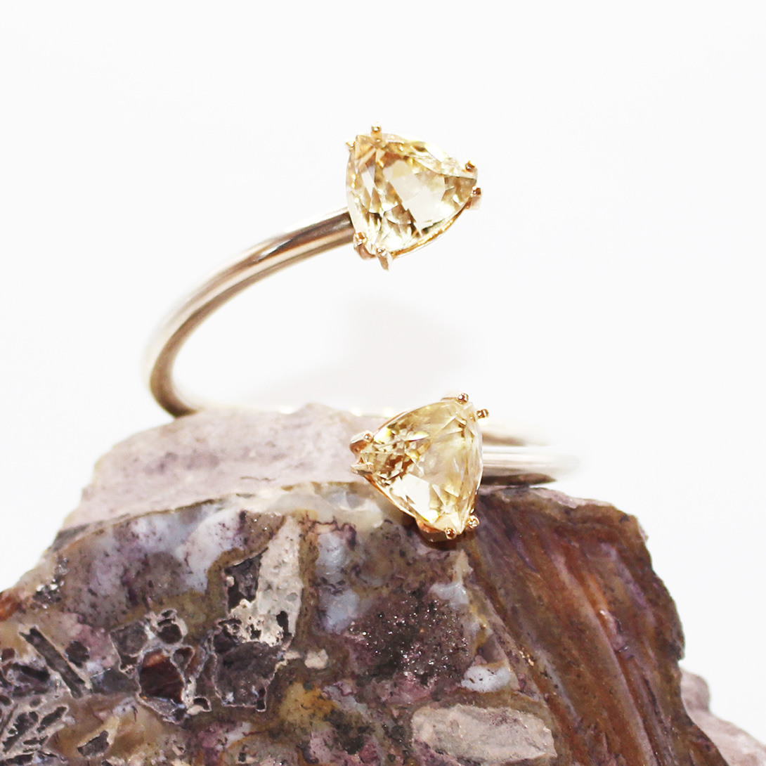 The Fashion Collection